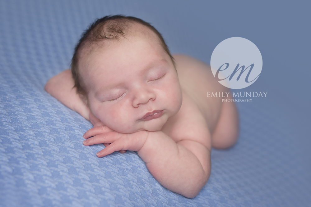 baby newborn studio posed bed blue patterned boy first child photography photographs plymouth ivybridge torpoint saltash brothers love making memories cool baby stuff