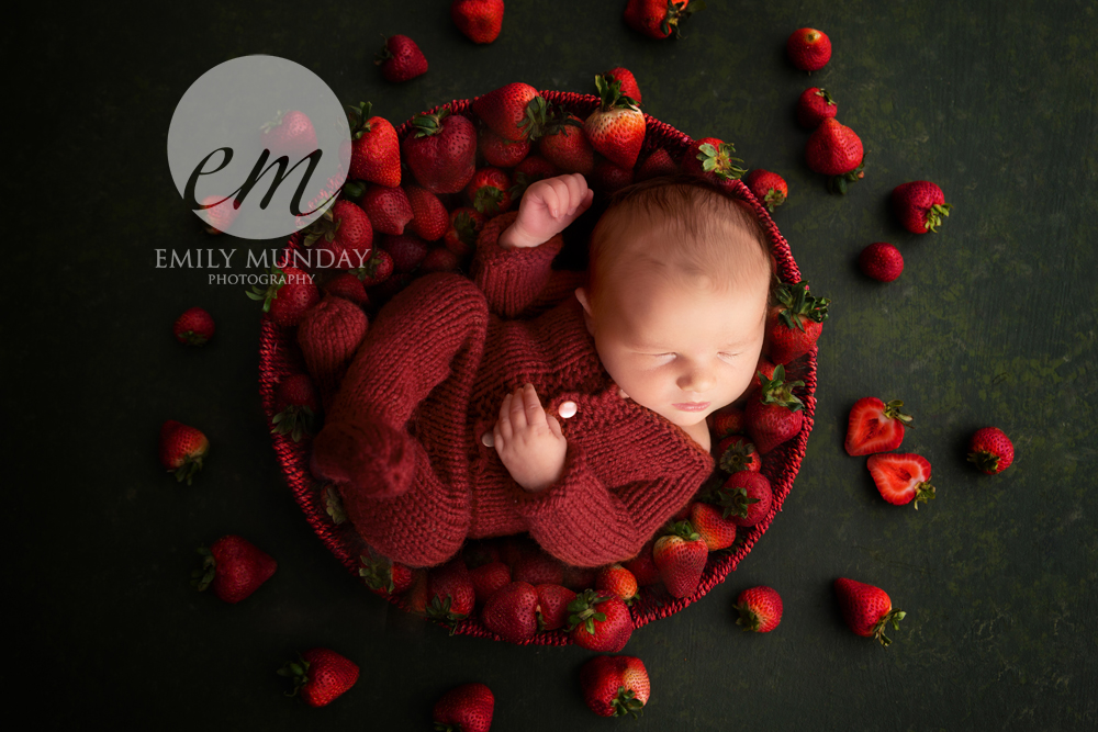 baby newborn studio posed photos pictures Emily Munday Photography local Devon photographer newborn photo session